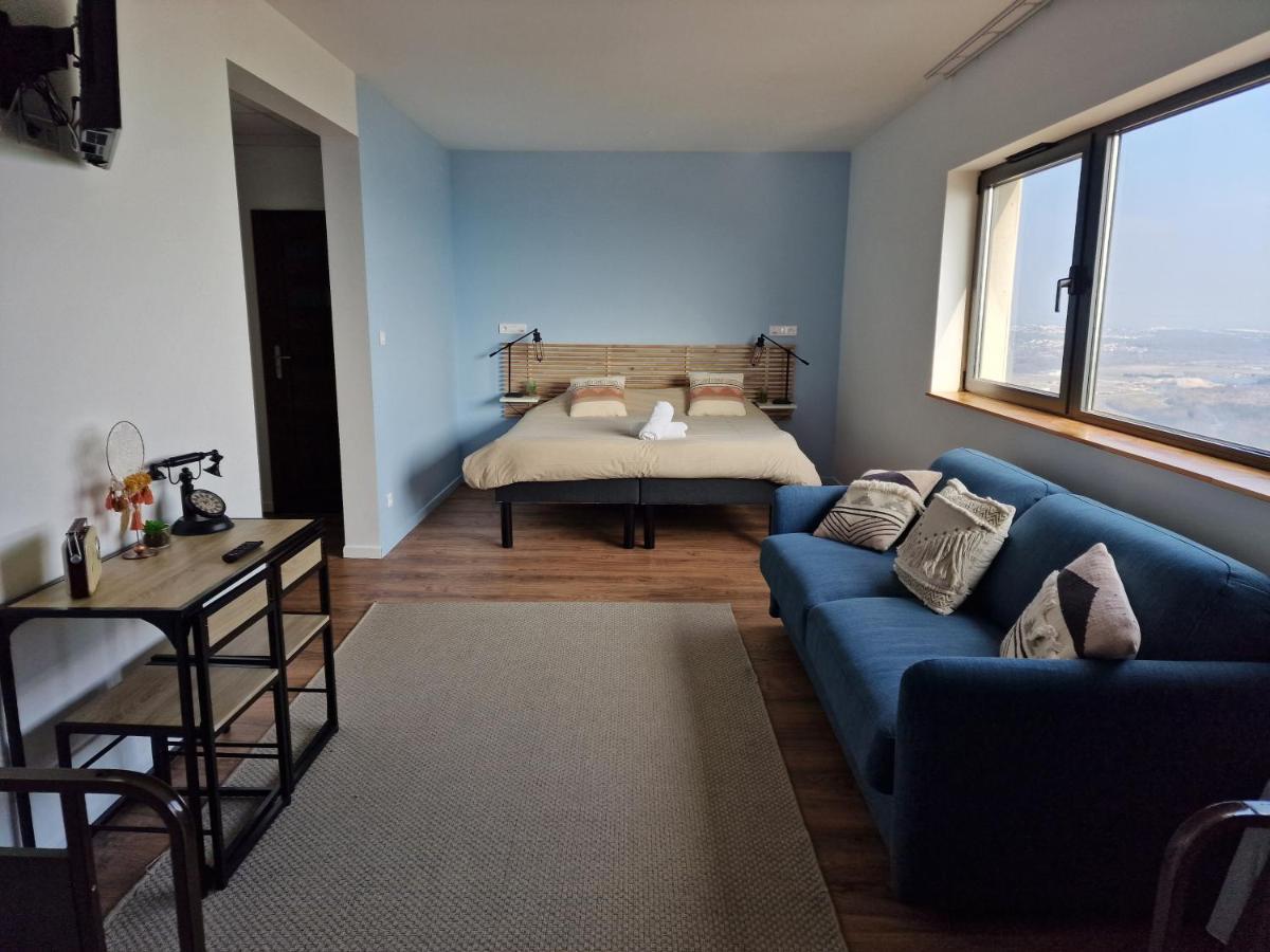 Auberge Du Fort Pelissier Pont-Saint-Vincent エクステリア 写真